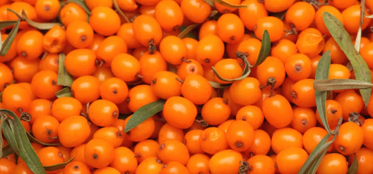 amika Launch Featured Blog image-1200x560-Blog3.jpg