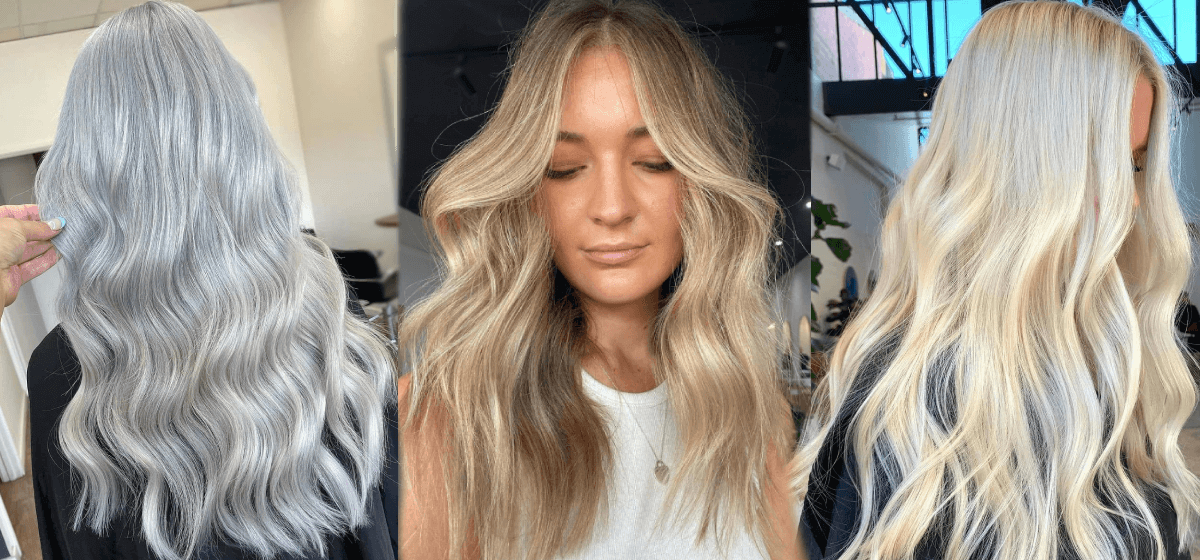 colour focus blonde featured banner.png